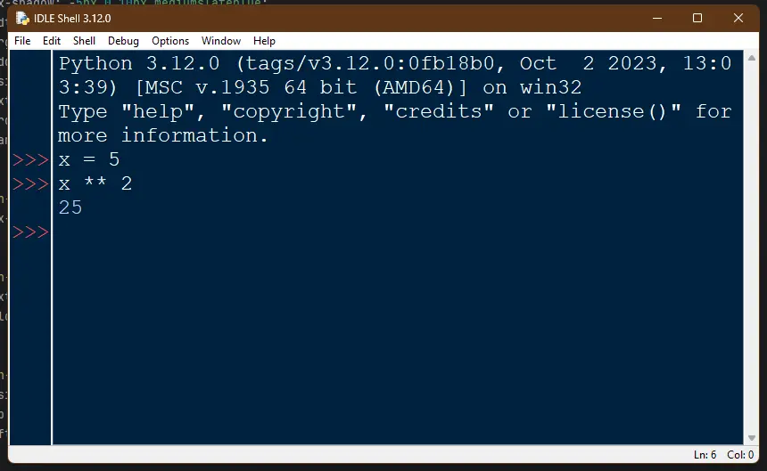 IDLE terminal